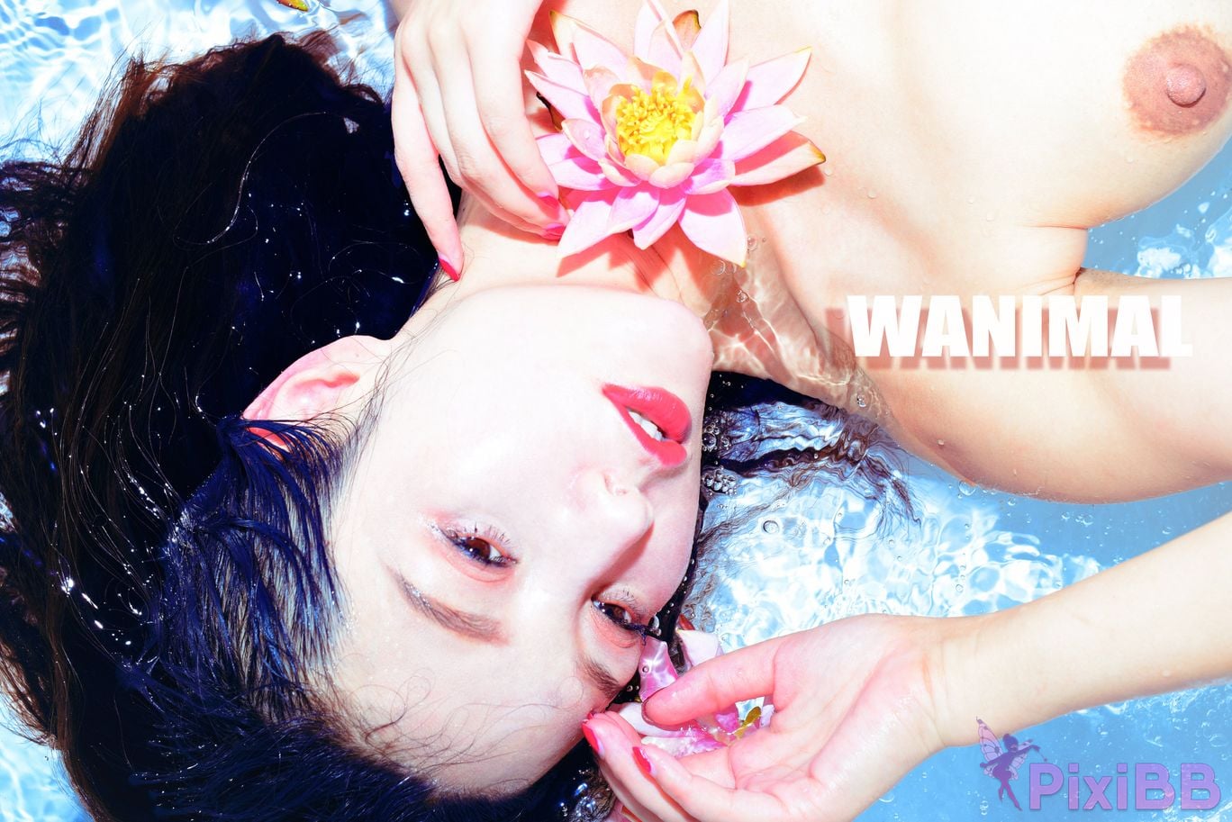 OtherXXX WANIMAL Wang Dong VIP Set of pictures Official product No.10 PixiBB.COM 161