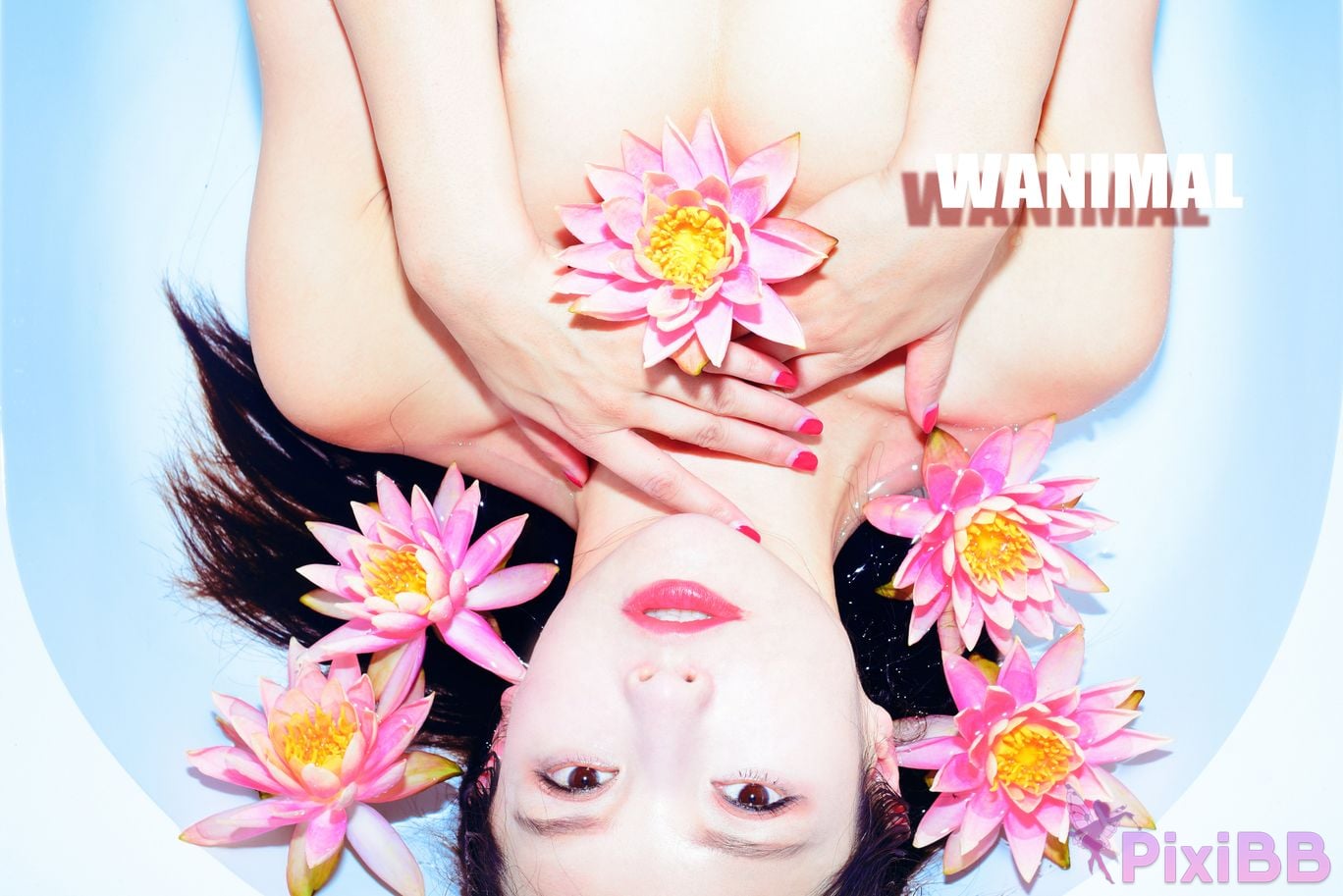 OtherXXX WANIMAL Wang Dong VIP Set of pictures Official product No.10 PixiBB.COM 163