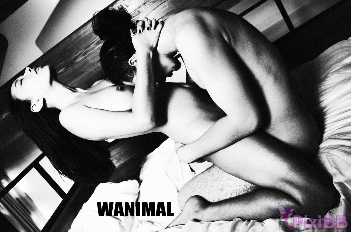 OtherXXX WANIMAL Wang Dong VIP Set of pictures Official product No.10 PixiBB.COM 166