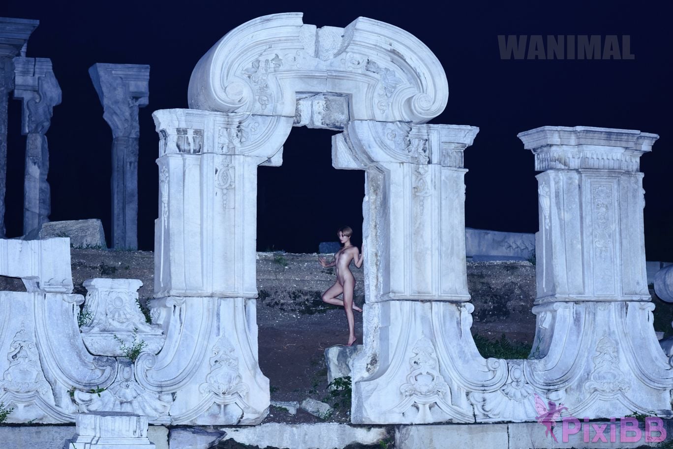 OtherXXX WANIMAL Wang Dong VIP Set of pictures Official product No.10 PixiBB.COM 172