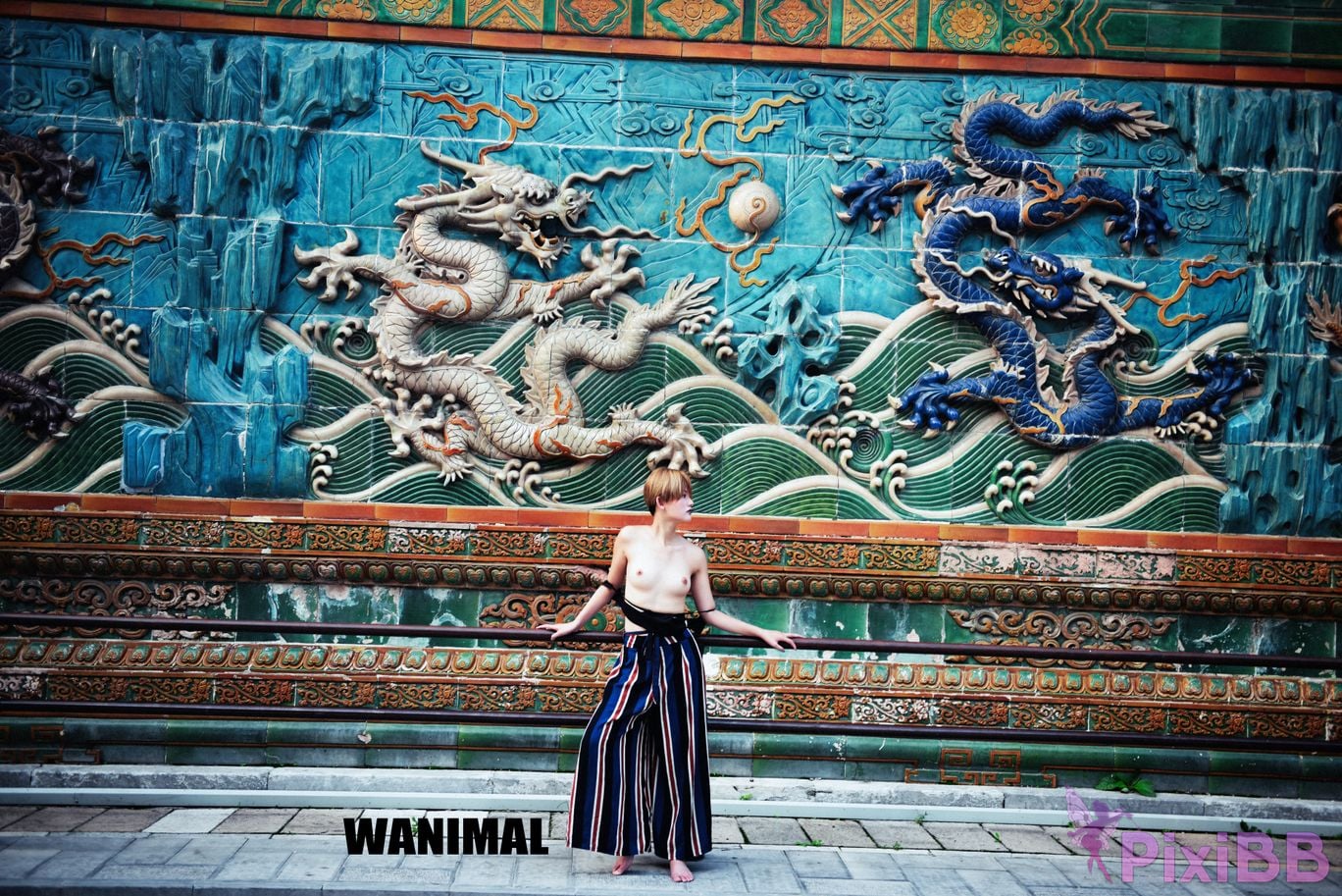 OtherXXX WANIMAL Wang Dong VIP Set of pictures Official product No.10 PixiBB.COM 177