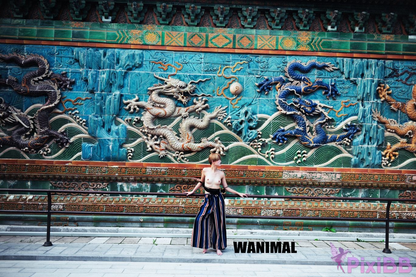 OtherXXX WANIMAL Wang Dong VIP Set of pictures Official product No.10 PixiBB.COM 178