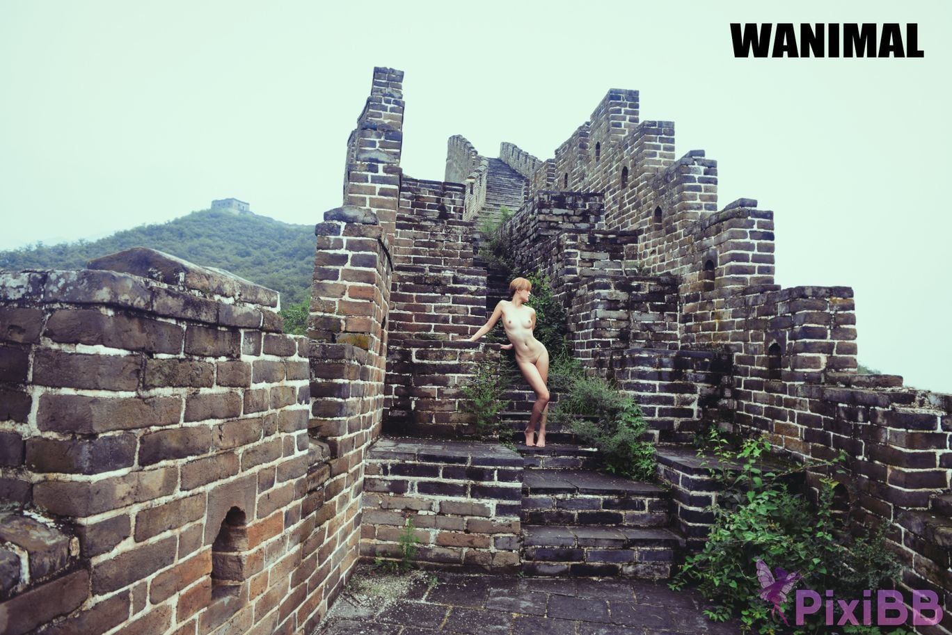 OtherXXX WANIMAL Wang Dong VIP Set of pictures Official product No.10 PixiBB.COM 182