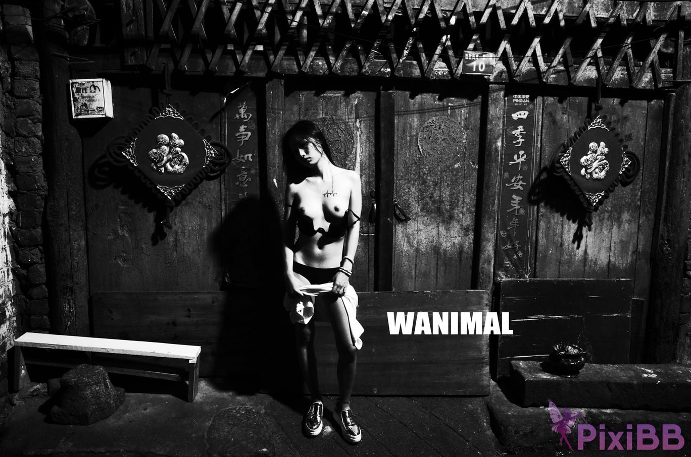 OtherXXX WANIMAL Wang Dong VIP Set of pictures Official product No.10 PixiBB.COM 187