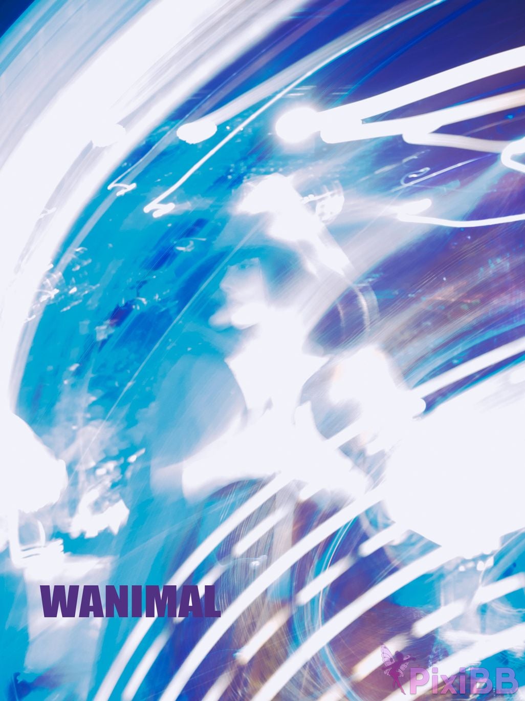 OtherXXX WANIMAL Wang Dong VIP Set of pictures Official product No.09 PixiBB.COM 003