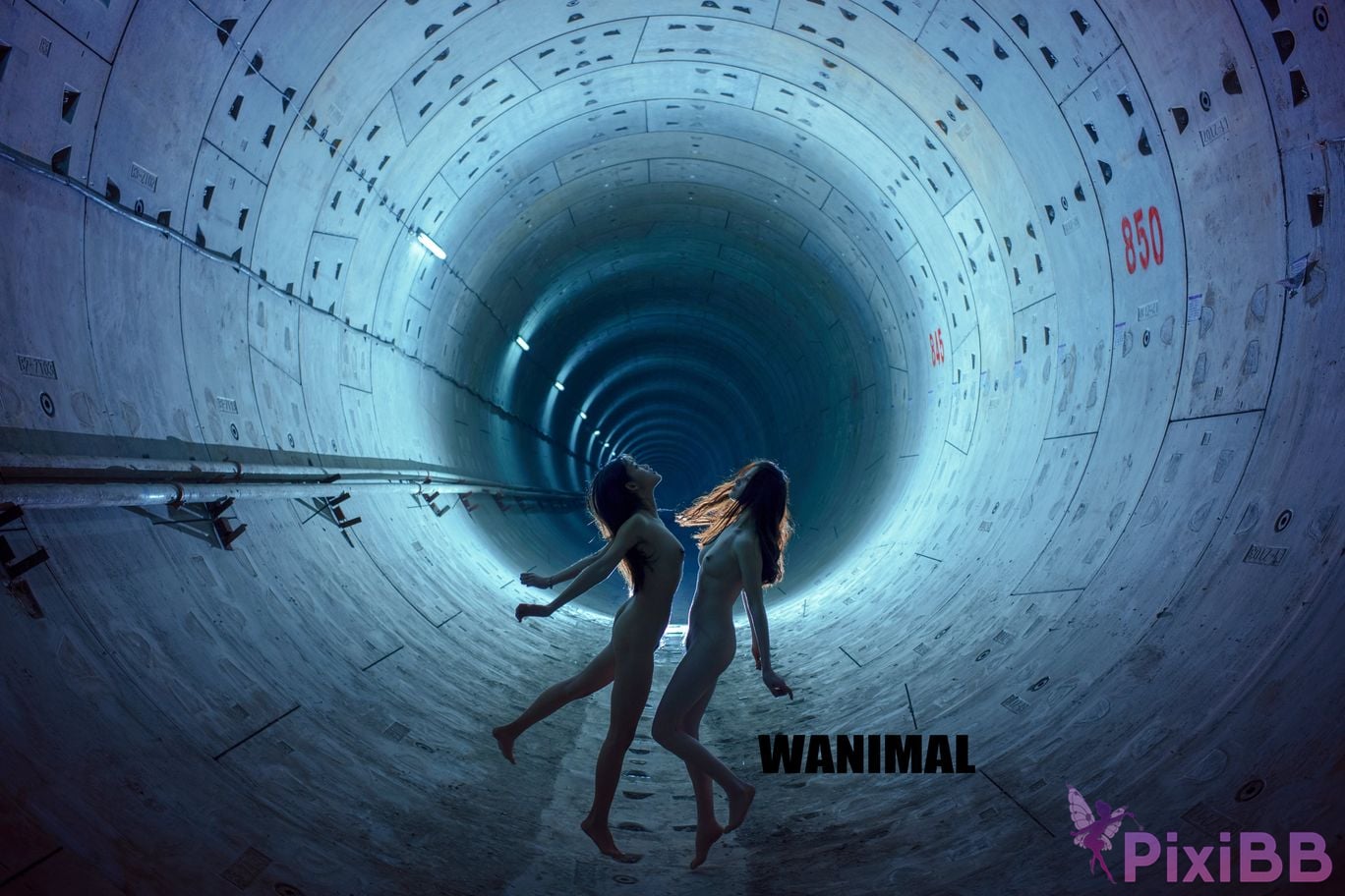 OtherXXX WANIMAL Wang Dong VIP Set of pictures Official product No.09 PixiBB.COM 022