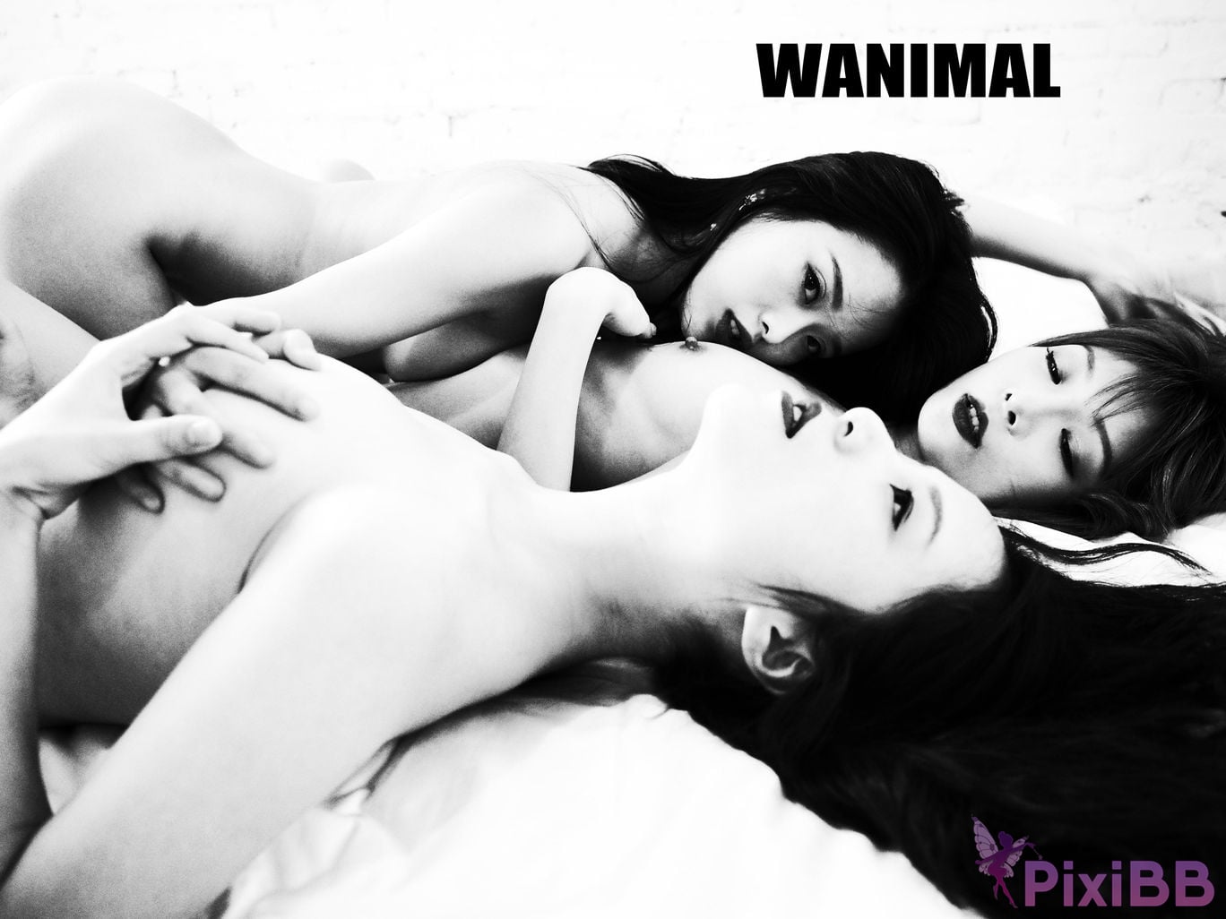 OtherXXX WANIMAL Wang Dong VIP Set of pictures Official product No.09 PixiBB.COM 031