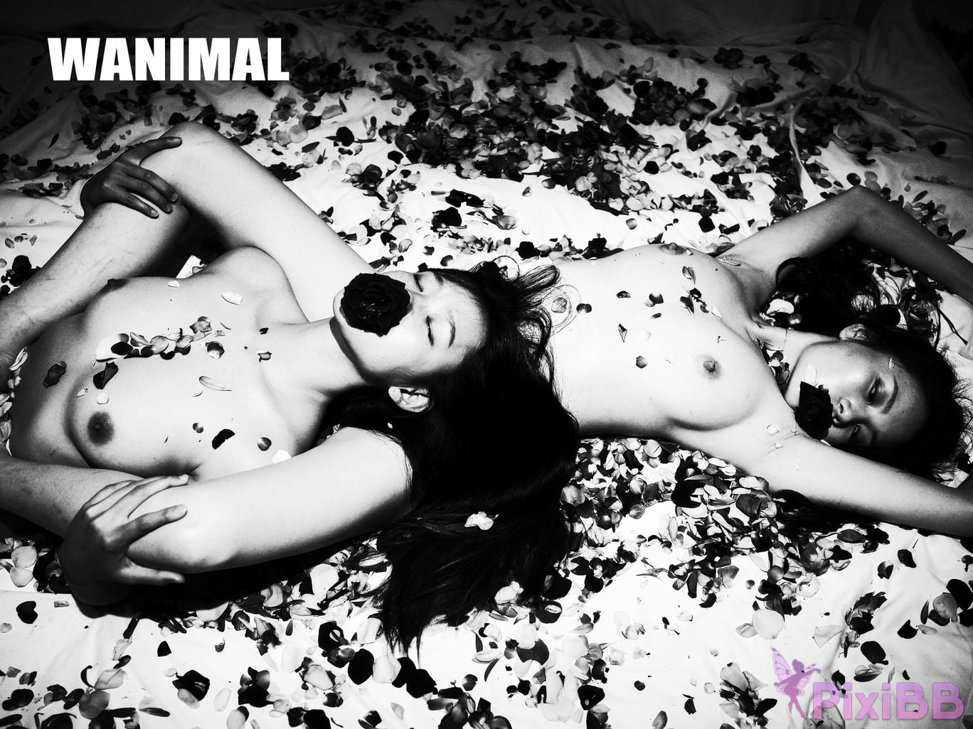OtherXXX WANIMAL Wang Dong VIP Set of pictures Official product No.09 PixiBB.COM 034.JPG
