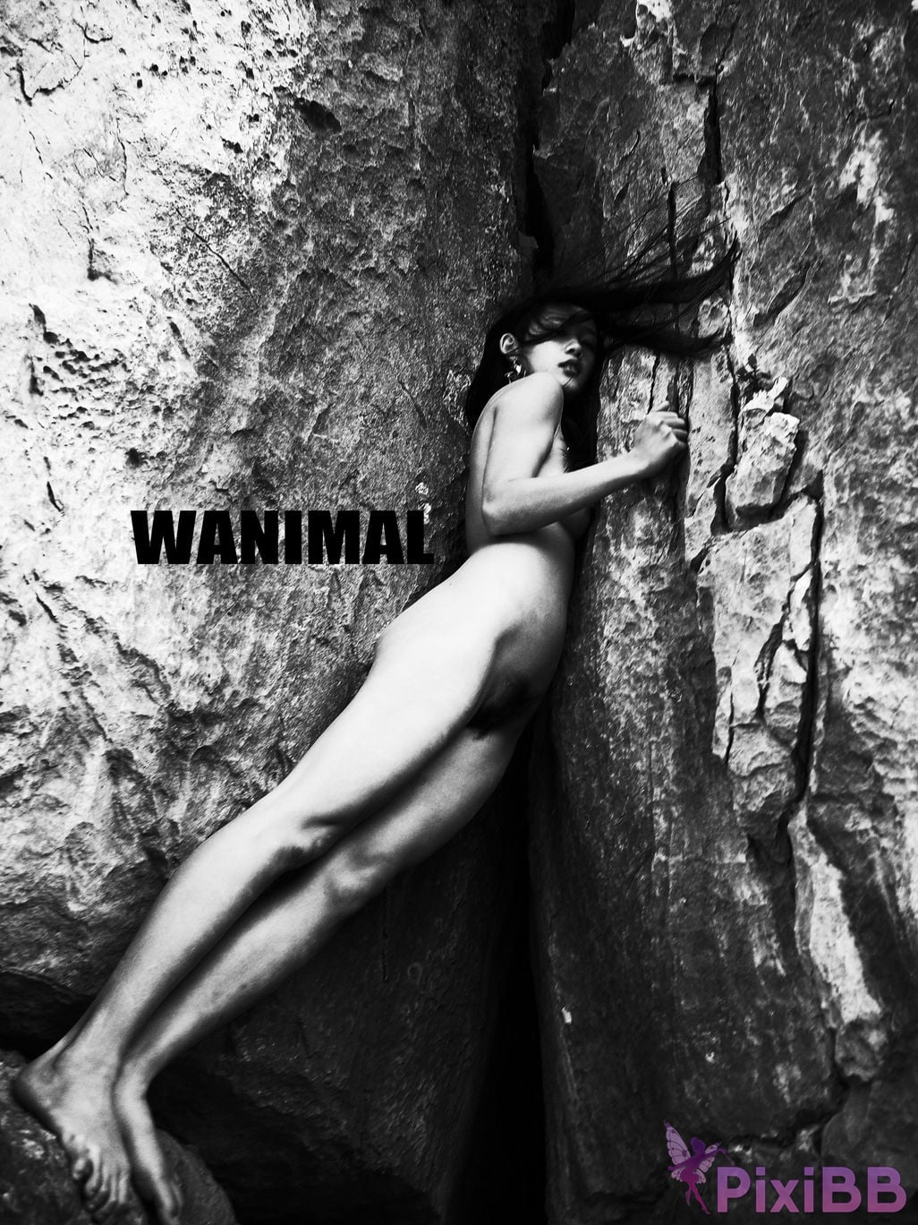 OtherXXX WANIMAL Wang Dong VIP Set of pictures Official product No.09 PixiBB.COM 035