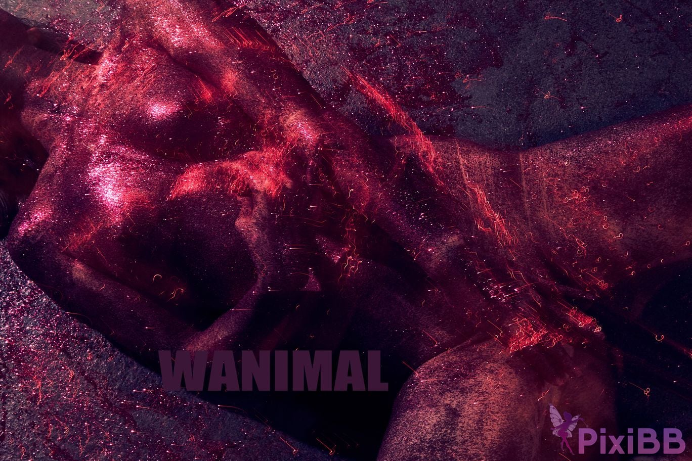 OtherXXX WANIMAL Wang Dong VIP Set of pictures Official product No.09 PixiBB.COM 062