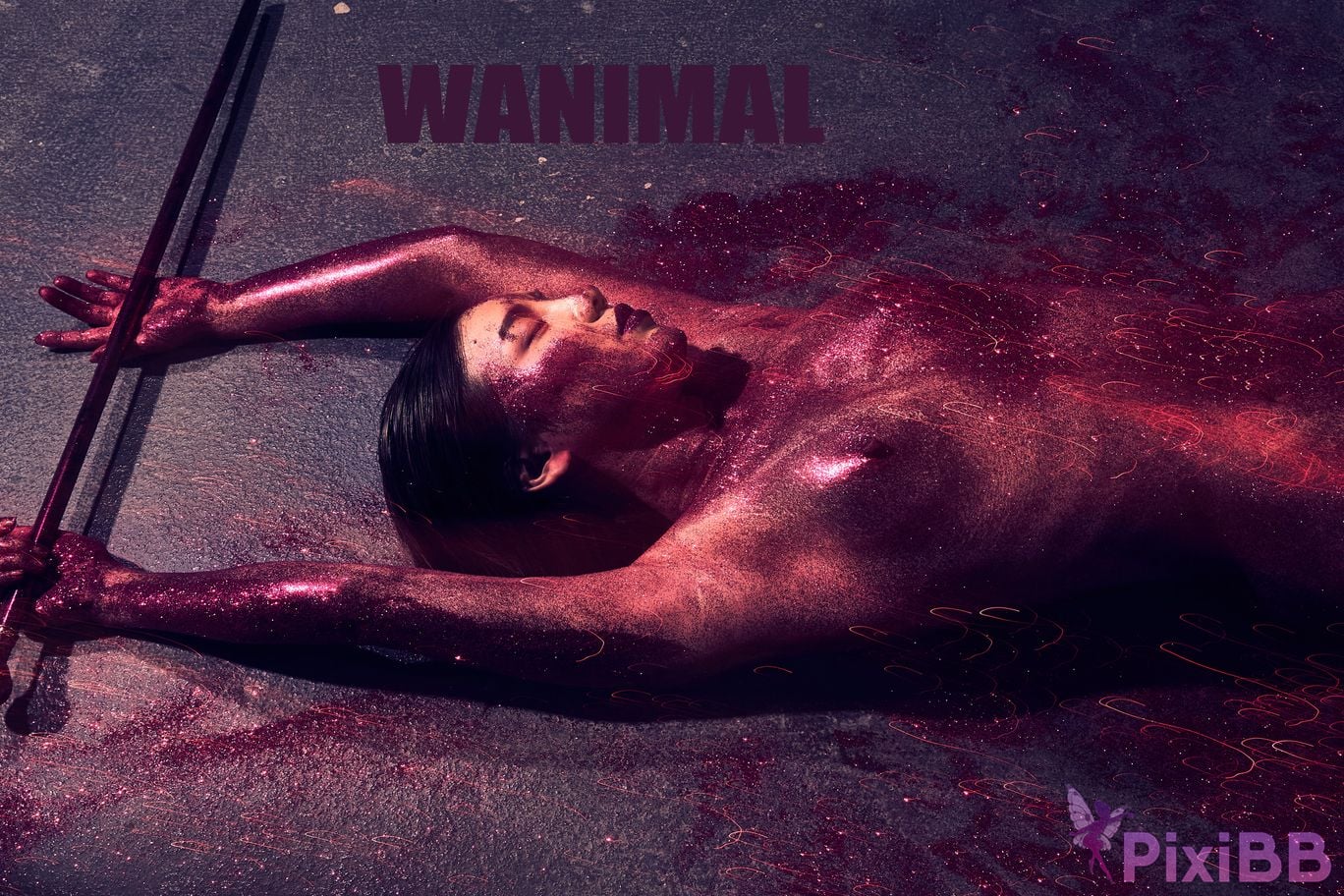 OtherXXX WANIMAL Wang Dong VIP Set of pictures Official product No.09 PixiBB.COM 064