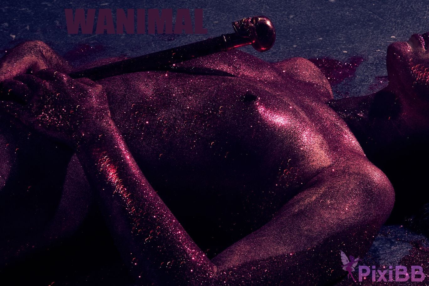 OtherXXX WANIMAL Wang Dong VIP Set of pictures Official product No.09 PixiBB.COM 065