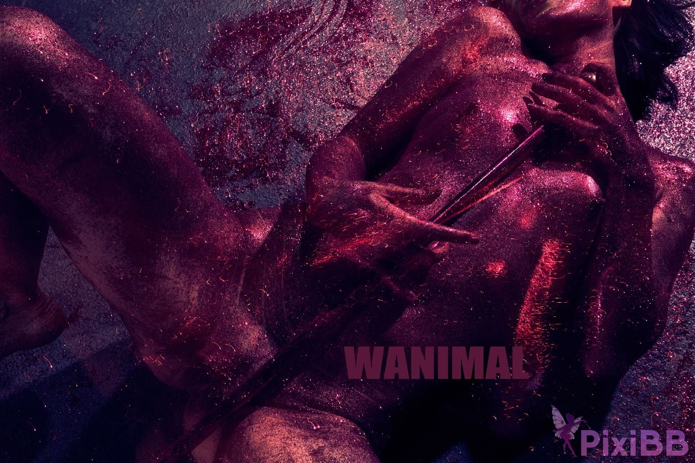 OtherXXX WANIMAL Wang Dong VIP Set of pictures Official product No.09 PixiBB.COM 069
