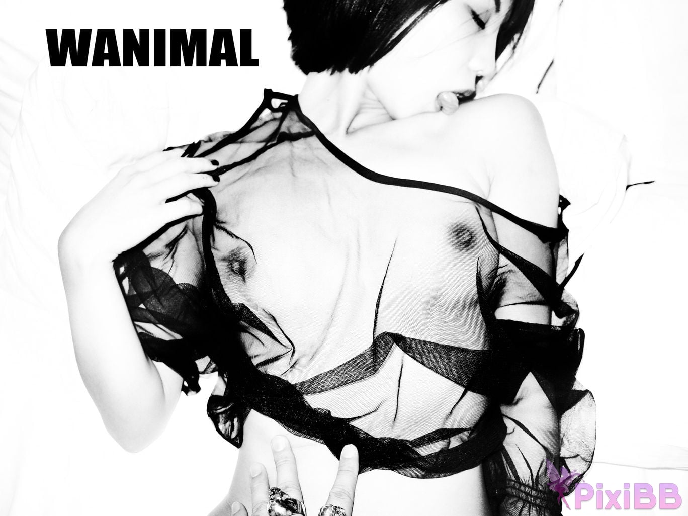 OtherXXX WANIMAL Wang Dong VIP Set of pictures Official product No.09 PixiBB.COM 071