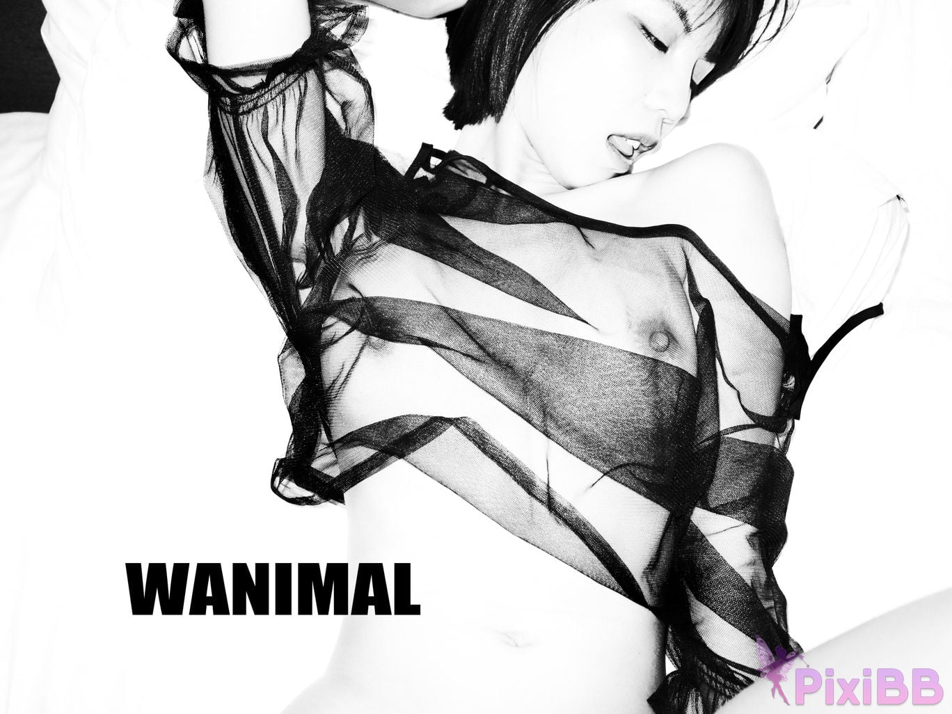 OtherXXX WANIMAL Wang Dong VIP Set of pictures Official product No.09 PixiBB.COM 072