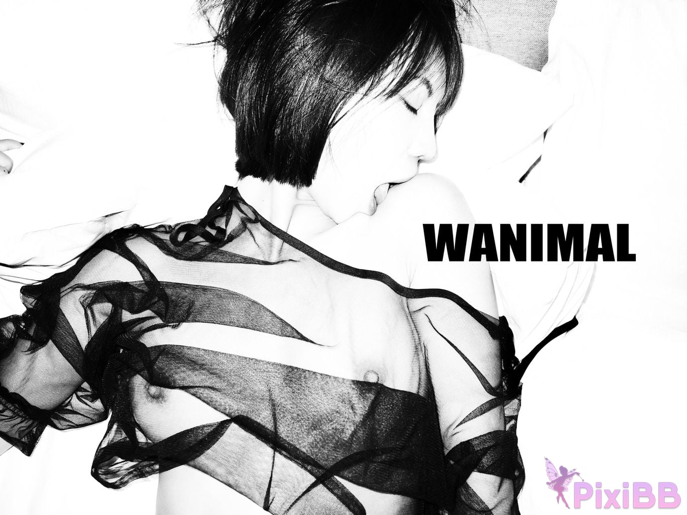 OtherXXX WANIMAL Wang Dong VIP Set of pictures Official product No.09 PixiBB.COM 074