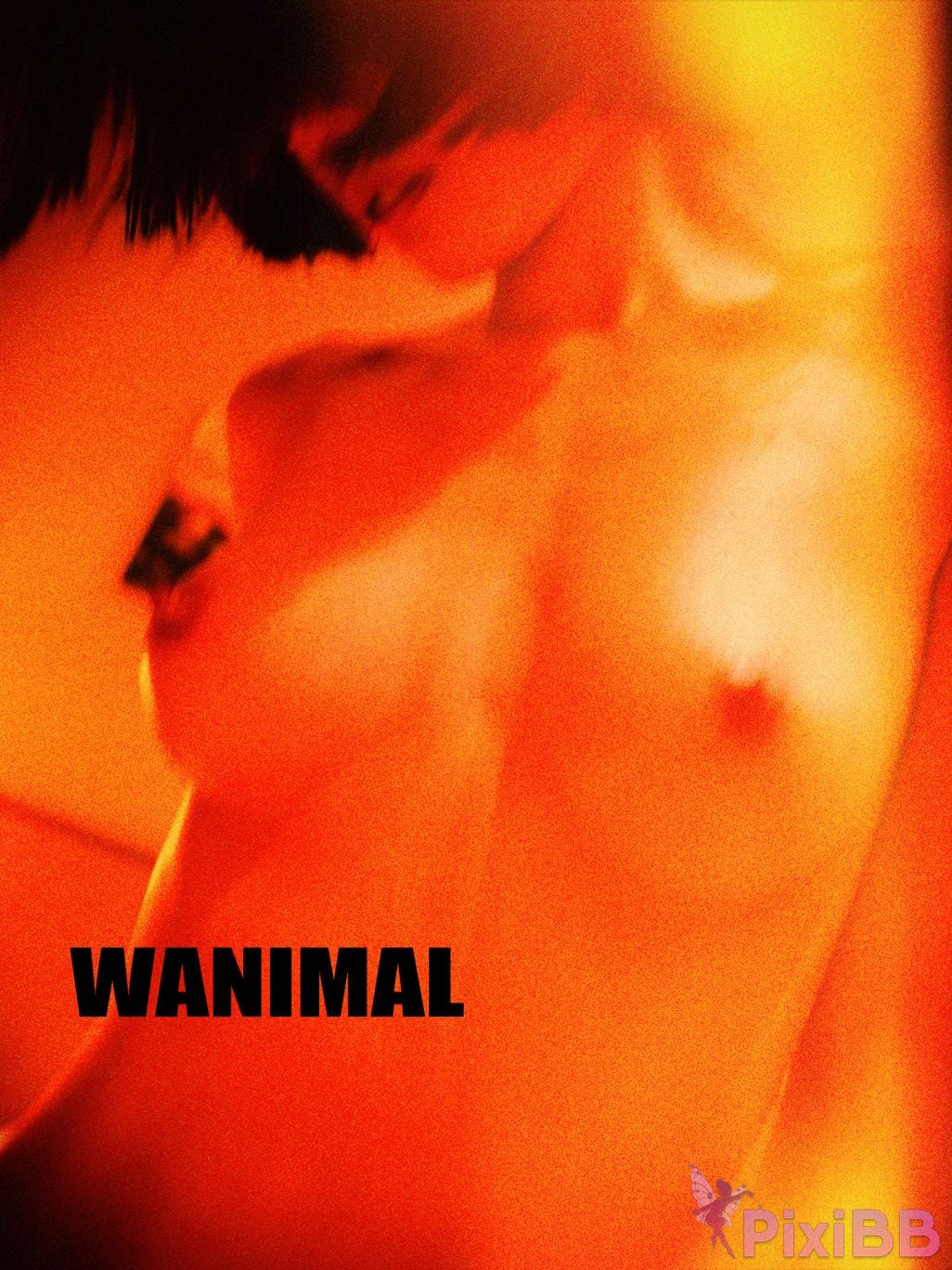 OtherXXX WANIMAL Wang Dong VIP Set of pictures Official product No.09 PixiBB.COM 075