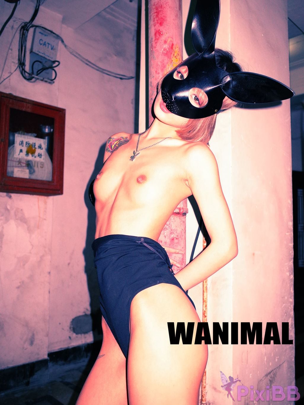 OtherXXX WANIMAL Wang Dong VIP Set of pictures Official product No.09 PixiBB.COM 116