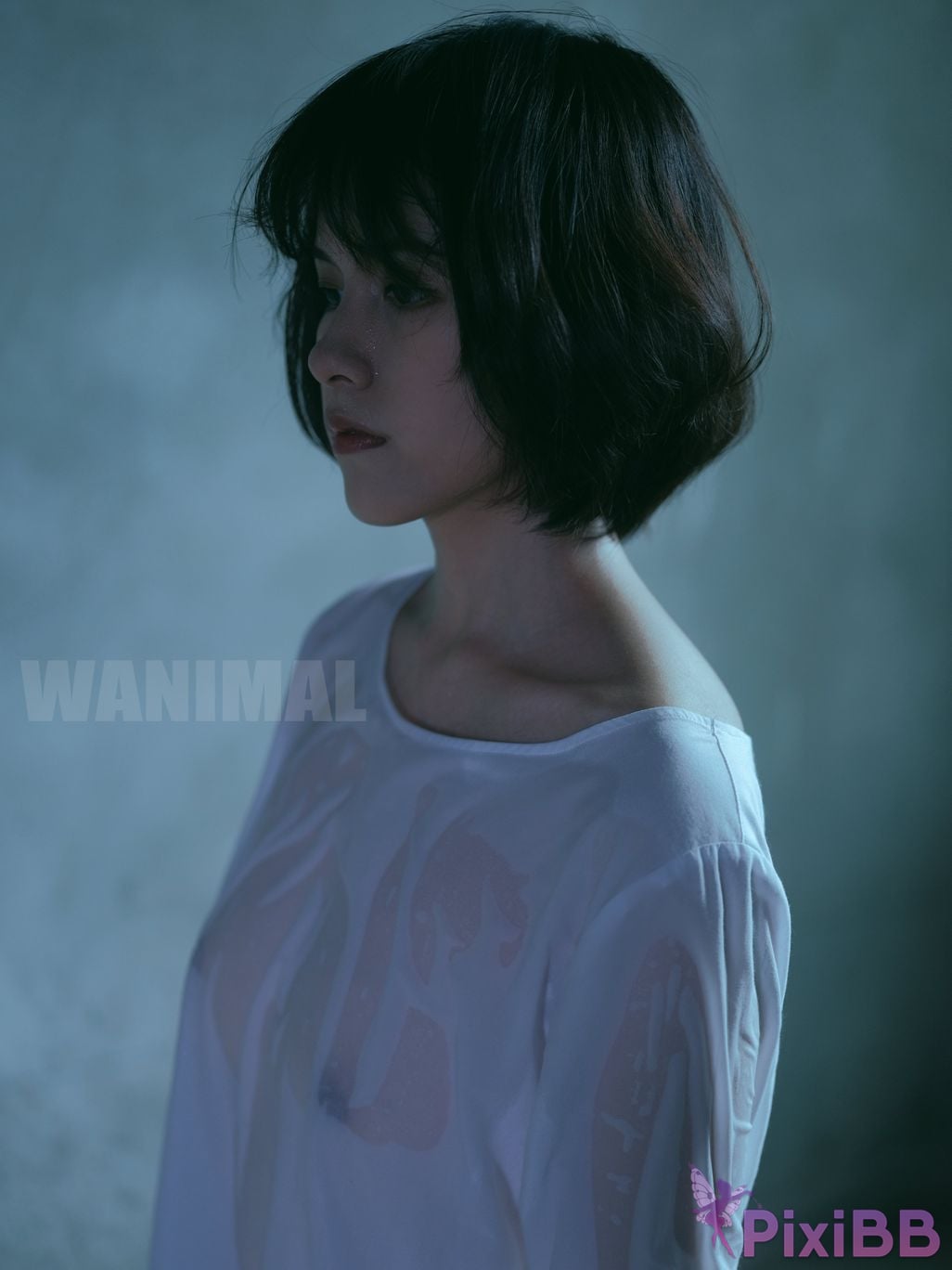 OtherXXX WANIMAL Wang Dong VIP Set of pictures Official product No.09 PixiBB.COM 128