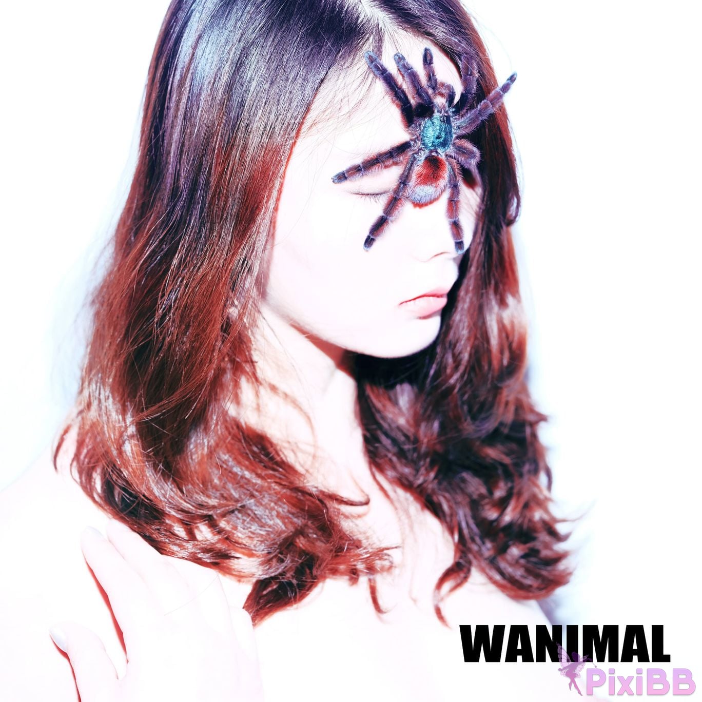 OtherXXX WANIMAL Wang Dong VIP Set of pictures Official product No.09 PixiBB.COM 137
