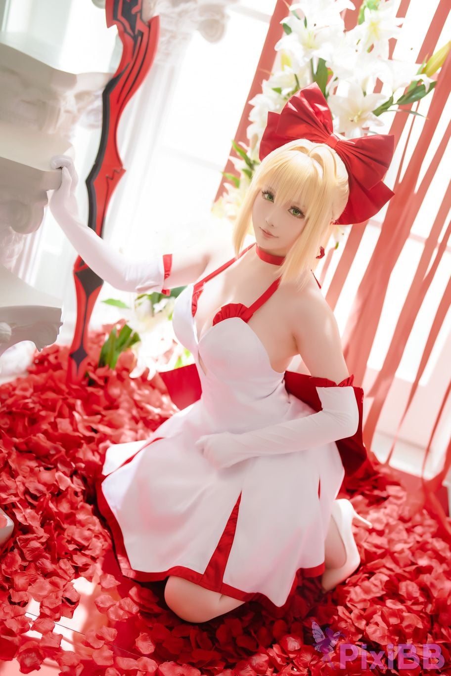 Coser Hoshilily 2023 6A FATE EXTELLA PixiBB.COM 003