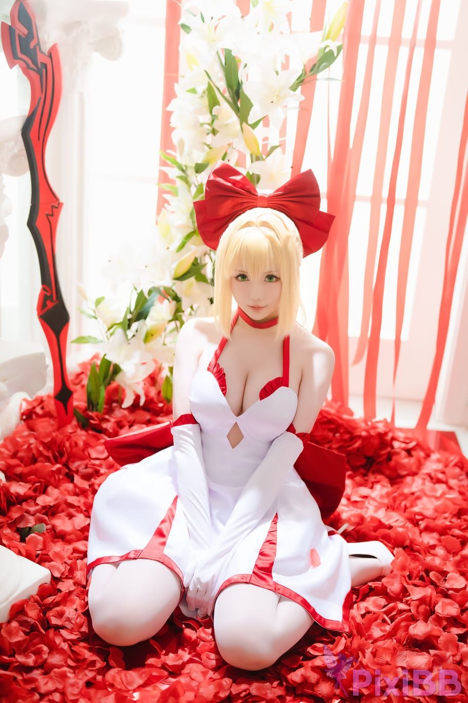 Coser Hoshilily 2023 6A FATE EXTELLA PixiBB.COM 017