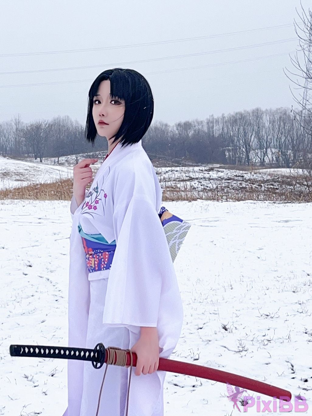 Coser Hoshilily PixiBB.COM 027