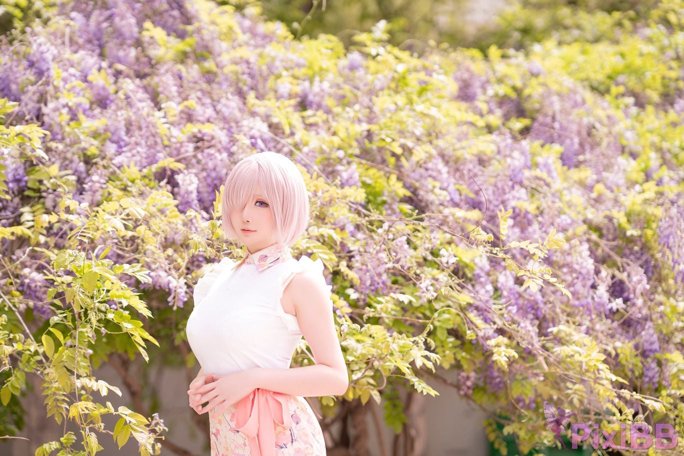 Coser Hoshilily Fgo PixiBB.COM 006