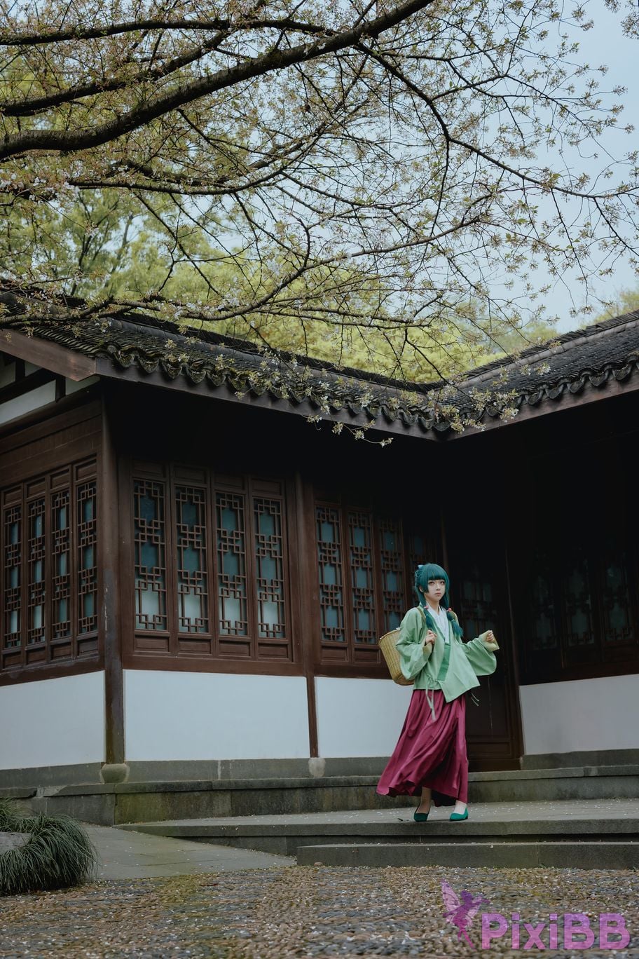 Coser Vector fish Maomao PixiBB.COM 007