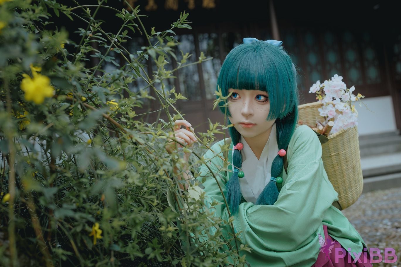Coser Vector fish Maomao PixiBB.COM 008