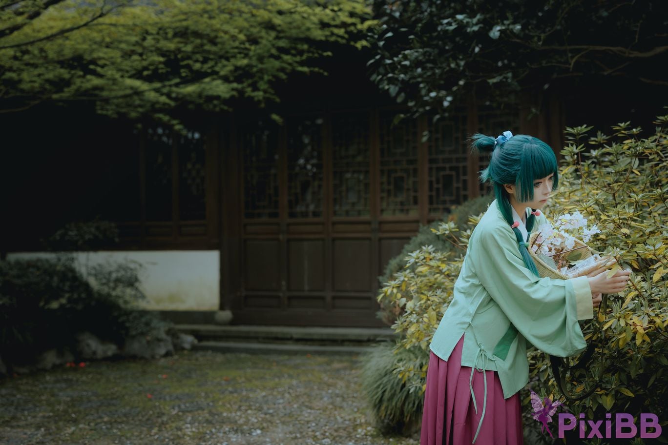 Coser Vector fish Maomao PixiBB.COM 011