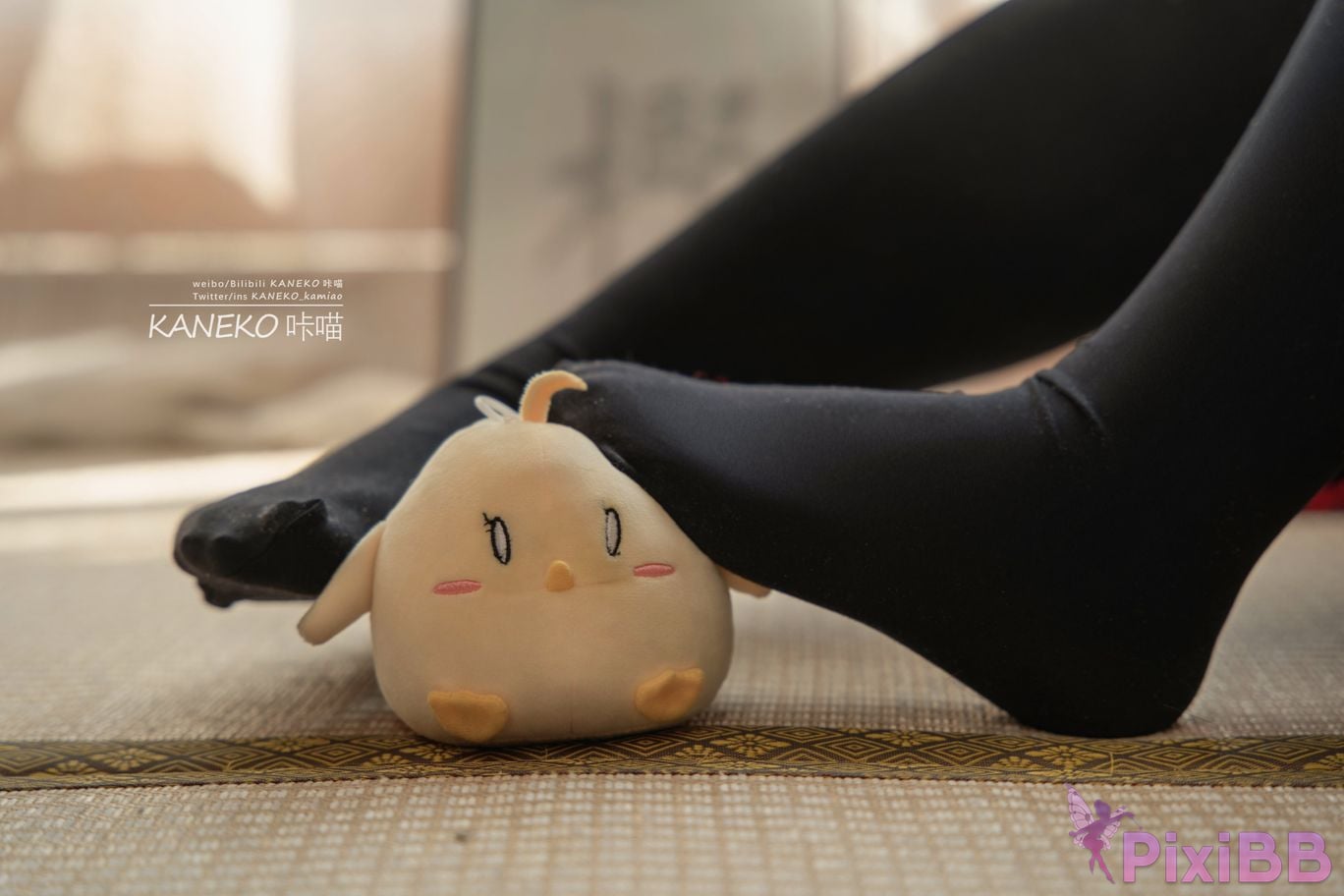 Coser KANEKO PixiBB.COM 021